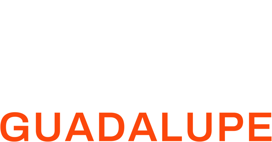 Pacas Guadalupe